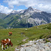 Friedliche Landschaft 