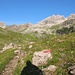 Erstmals ist das Tageszeil in voller Größe erkennbar; ebenso die rechtsseitig scharf eingeschnittene Kleine Steinscharte. Links der Bildmitte ist die Hochalpscharte (2435 m) zu sehen, die hinüberleitet ins Hochalptal. Ob sie zugänglich und somit als Übergang benutzbar ist, ist mir allerdings nicht bekannt.
Anmerkung: 4 Tage später stehe ich auf der [http://www.hikr.org/tour/post83944.html Ellbognerspitze] und erkenne: die Westseite der Hochalpscharte ist sehr unzugänglich. Als Übergang kommt sie nicht in Frage (s. nächstes Foto).