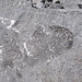 In alcuni punti la roccia è stata lucidata per mostrare meglio i fossili che vi sono inclusi.<br />Questo intervento ha la forma di cuore ed è il simbolo del Geo Weg.