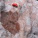 Lungo il percorso si incontrano delle piccole pietre dipinte di rosso cementate vicino a delle emergenze geologiche.