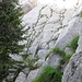 Spitzi Flue: unterer Teil der Gipfelplatten