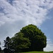 Wolkenspiele. 