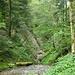Am Schnittweiherbach.