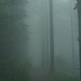 Der Nebel wurde immer dichter... etwas oberhalb der Holzschlägermatte herrschte eine beinahe gespenstische Atmosphäre