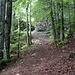 lauschig der Alten Bättlerchuchi zu