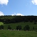 friedvolle Landschaft zwischen Vorderi Schmidematt und Alte Bättlerchuchi