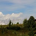 unterwegs auf dem Zirbenweg