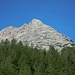 Und schon sehen wir überm lichten Wald unser Ziel mitsamt der Aufstiegsroute!