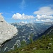 Eindeutig eine Bärenschnauze, finde ich!