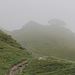 Die Hütten der Stutzalp zeigen sich im Nebel.