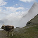 Blick Richtung Bruschghorn