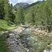 Il primo tratto lungo il torrente Vallanta