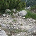 Kuck, ein schöner Schmetterling!<br /><br />Mehr Fotos vom Anstieg hab ich nicht, es musste ja gespiket werden!