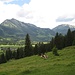 Wieder unten im Tal