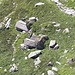 Le due cascine di Pezze Grosse, viste da 500 m più in alto rispetto a [http://www.hikr.org/gallery/photo832853.html?post_id=52544#1 quest'altra inquadratura]