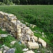 eine der neuen, hübschen und kunstvollen Trockensteinmauern entsteht