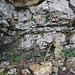 ... vor der Felswand - mit Routenbuch-Gamelle