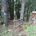 ...zum Pfädli-Ausstieg aus dem Wald
