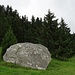 der Findling ca. 350 m südlich von Jobert
