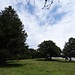 Jurahöhen - beim Jurahaus