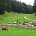 ... und erfüllen einen bestimmten Zweck