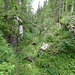 durch die Combe du Bex führte einst ein Weg durch ...