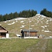 Alp Altstafel (1198m). Darüber der fast apere Gipfelhang des Chaiserstocks.