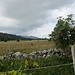 Blick zum Chasseral - im "Abstieg" vom Crêt du Soleil