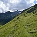 La parte del sentiero dopo aver lasciato l' Alpeggio sopra S. Sisto