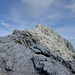 Endspurt zur Alpspitze von der Grieskarscharte aus. Sieht von hier wie ein Katzensprung aus, zieht sich aber ca. 45 Min., selbst im Abstieg
