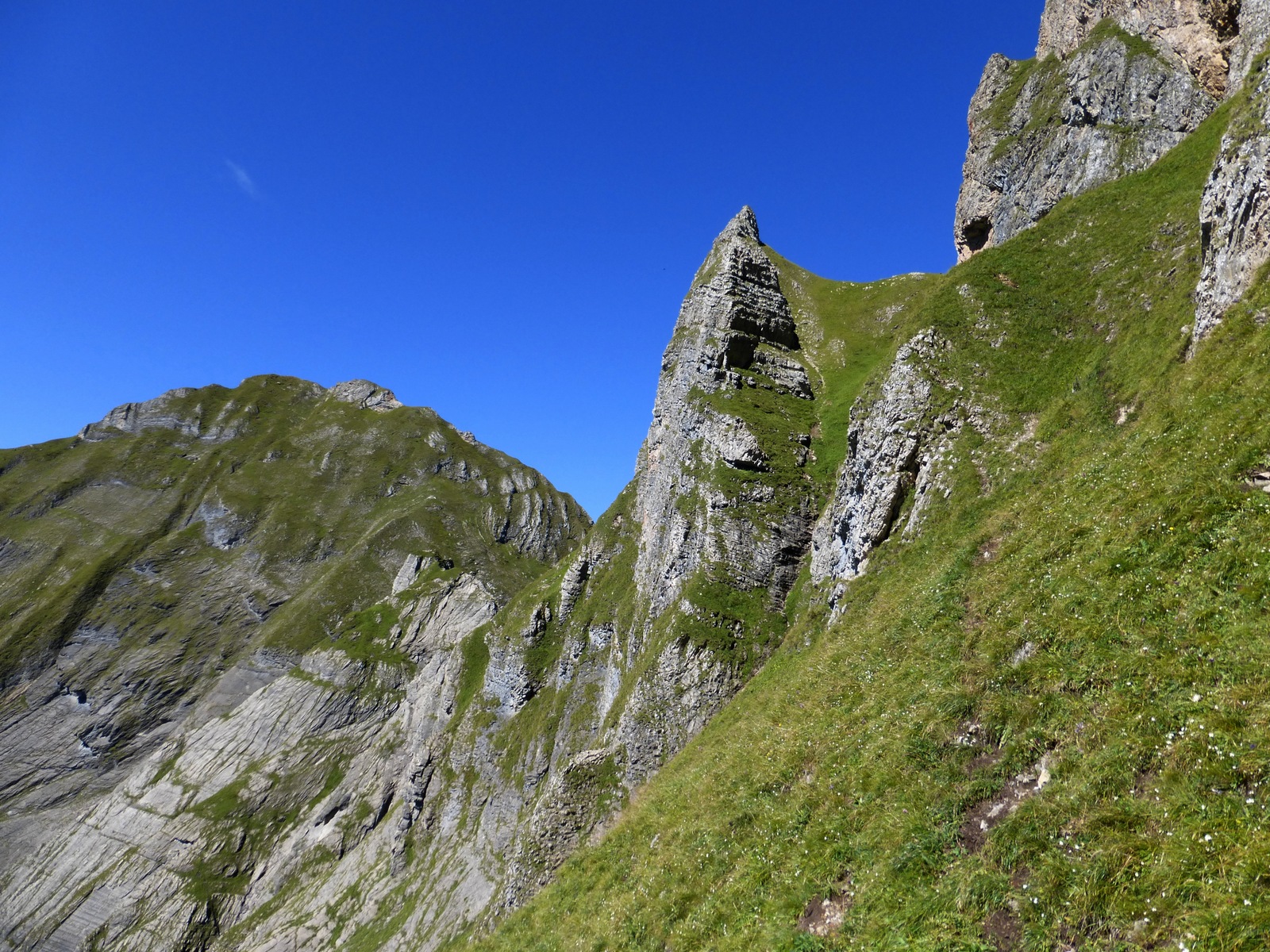 Blick zurück zum Sterenbergsattel, links hinten der... [hikr.org]