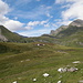 I soavi pianori erbosi dell'Alpe di Garzora (superiore)