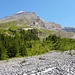 Altels 3629m, rechts die Moräne die zum Schwarzgletscher führt, dahinter der Zackengrat