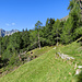 oberhalb Doro