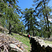 entlang der Mauer