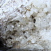 Bergkristalle - es gibt viele davon in der Ruch Chälen