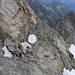Abstieg durch die "Fixseilrinne". Am Ende der Fixseile warten noch 10 Meter Kletterei (II) bis zum zuoberst steilen Gletscher (Pickel angenehm).