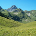 Bestes Allgäuer Gras am Sattel 1831m. Der markante Berg ist der Falsche Kogel 2388m.