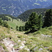 hier gehts runter zur Alp Durnan