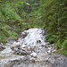 Wo der Wildbach rauscht