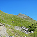 Im Aufstieg zu den Gipslöchern mit Blick zum schrofendurchsetzten Gipfelhang des Südl. Schafgafalls.
