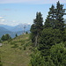 Blick auf das Gipfelkreuz vom höchsten Punkt des Frudigers aus.<br />Wahrscheinlich der höchste baumbewachsene Berg in den Alpen, auf dem ich stand.