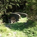 Ponte dell'Alpe di Ripiano