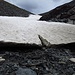 Massive Altschneefelder auf unter 1000müm und das im August...