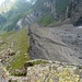 Auf der Moräne, links die Alp, rechts der schuttbedeckte Gletscher.