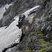 Oberes Gletscherende auf ca. 2100 m. Hier begann früher die Route, aber da war der Gletscher noch über den glatten Felsen.<br />