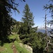 Wegabschnitt oberhalb Alp di Cadin (2)