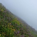 Beginn der Horstli-Route: Im Nebel durchs Gemüse (Ausdruck von Kaj)