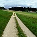 Vers Les Emibois