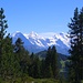 Eiger, Mönch und Jungfrau, von der Alp Trogen aus gesehen